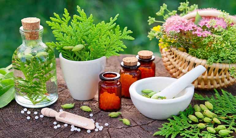 Diploma in Naturopathy